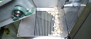peeled garlic machine peeled garlic machine