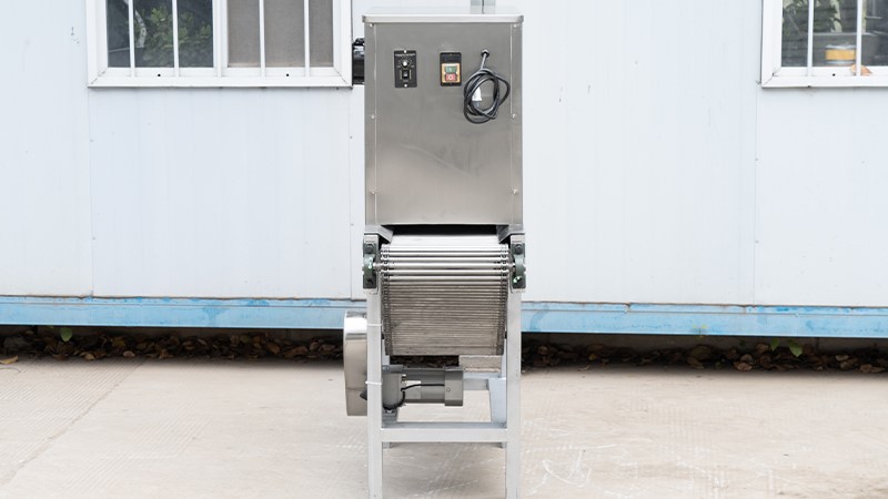 garlic peeling machine