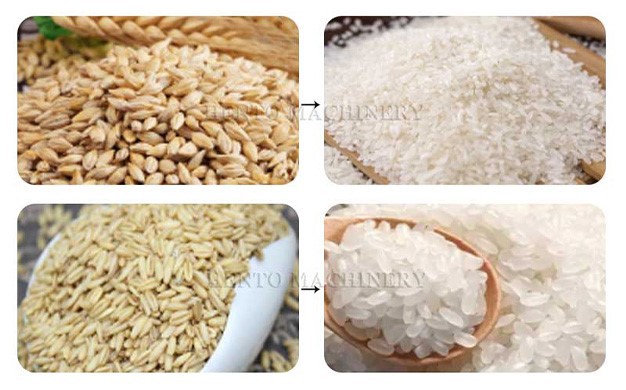 Rice Hulling Milling Machine 2