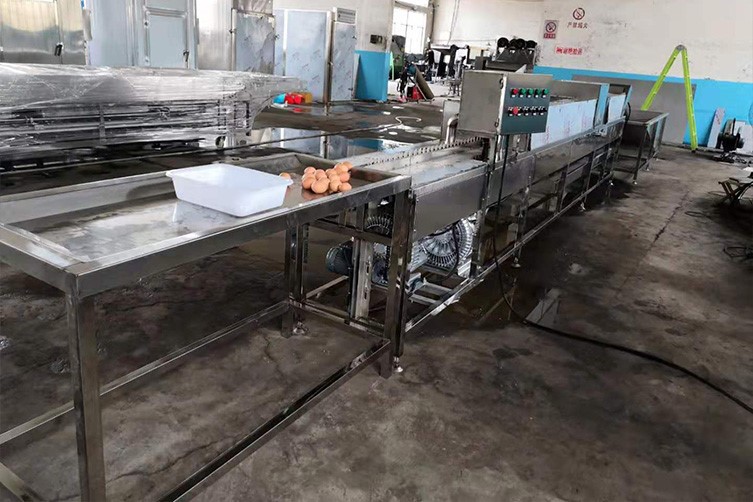 automatic egg washer 1 automatic egg washer 1