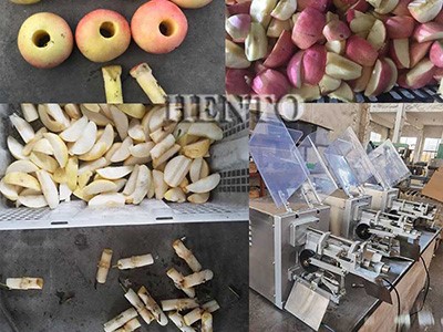 Apple Peeling Coring Dividing Machine