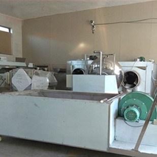 Sunflower Seed Processing Line