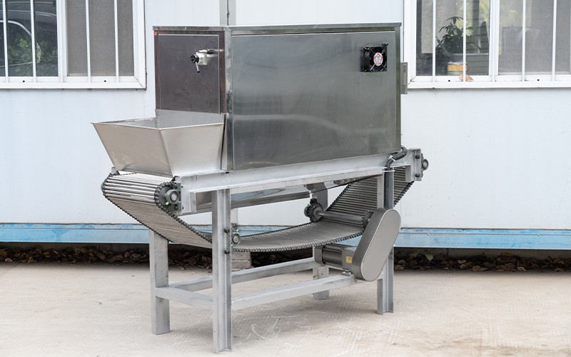 peeled garlic packed 1