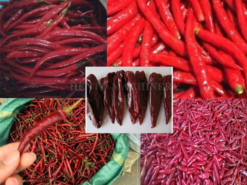 Chilli Stem Removing Machine 3