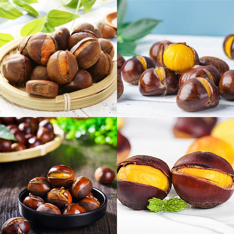 Chestnut Opener Machine