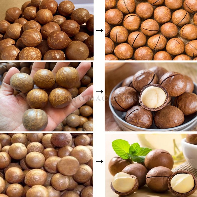 Macadamia Nut Shelling Machine