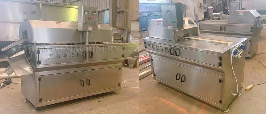 aloe vera processing line