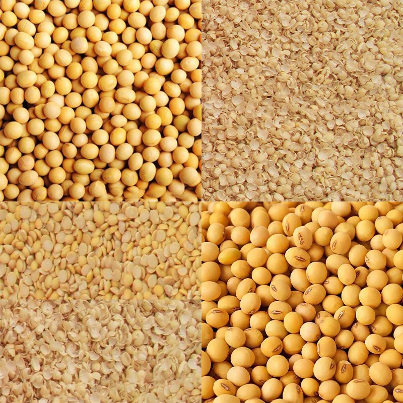 Bean Peeling Machine 3