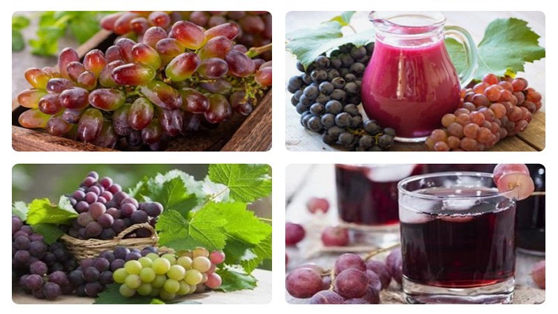 Grape Stem Remove Machine 5