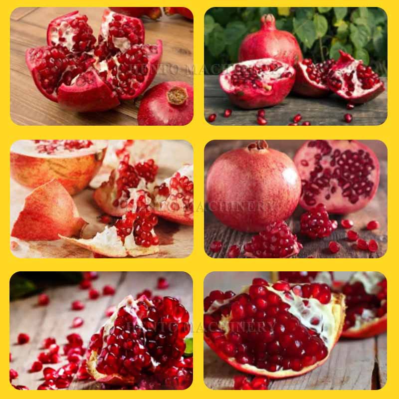 Automatic Pomegranate Peeler 2