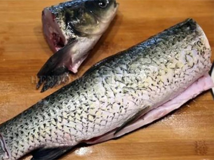 Fish Head Cutter 2 Fish Head Cutter 2