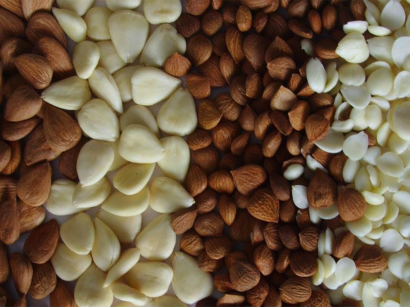 almond nuts cracking grading machine 2 almond nuts cracking grading machine 2