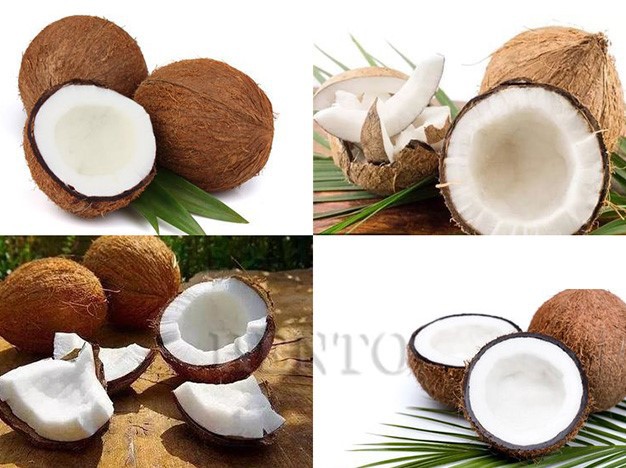 coconut cutting machine 4