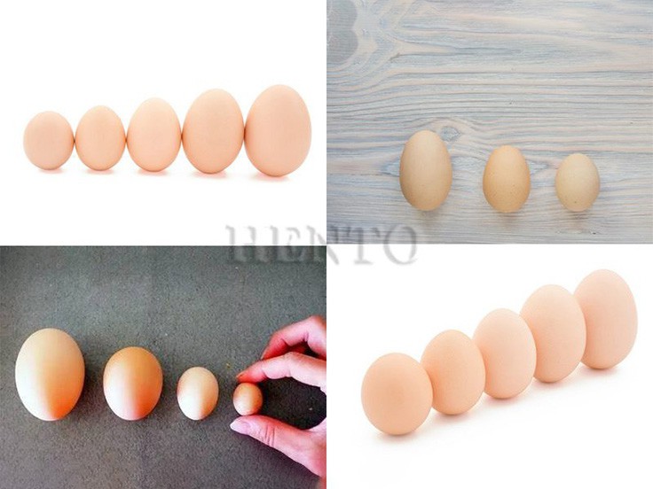Egg Egg