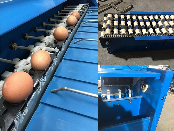 Egg grader