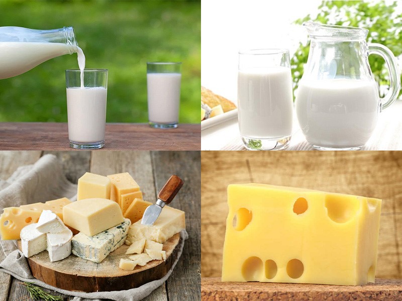 Cheese Production Line 