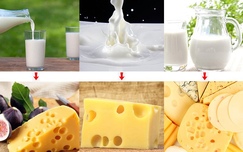 Electric Cheese Maker