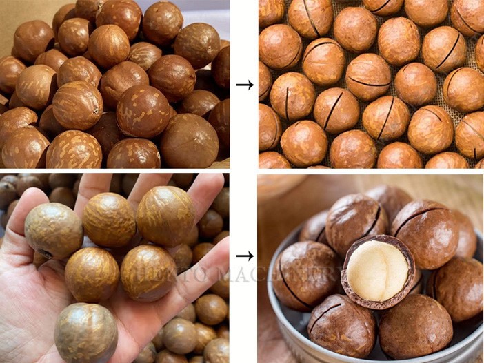 Macadamia Nut Cracker