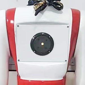 Robot Food Serving Robot Food Serving