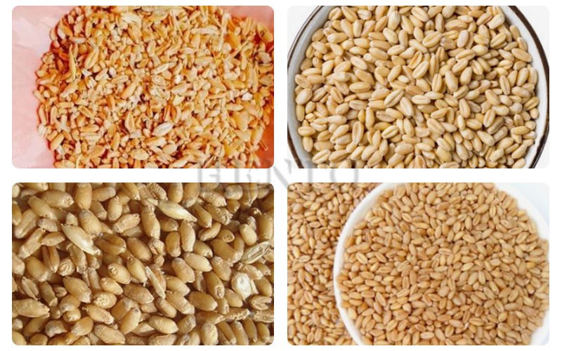 Paddy Destoner Machine Paddy Destoner Machine