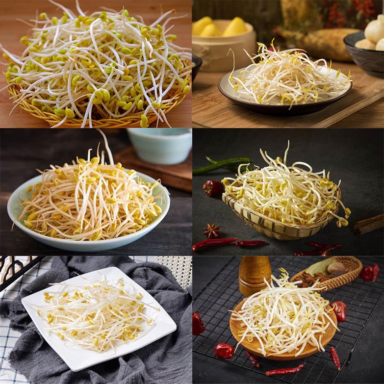 bean sprout cleaner bean sprout cleaner