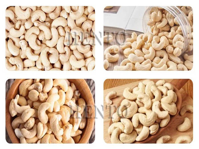 Cashew Nut Production Line Cashew Nut Production Line