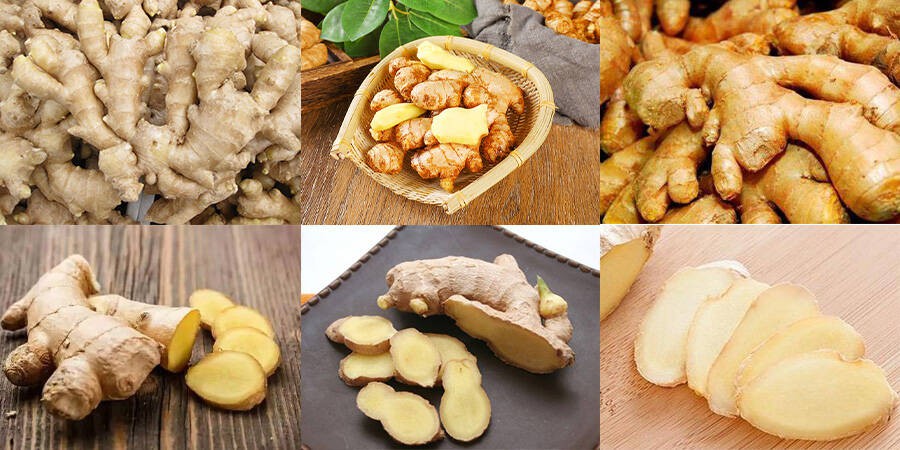 Ginger Slicing Machine Ginger Slicing Machine