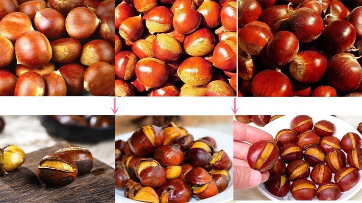 Chestnut Opener Machine