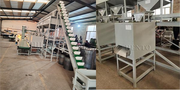 Almond Shelling Line