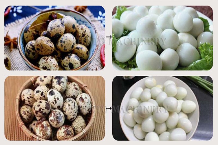 industrial egg breaking machine industrial egg breaking machine