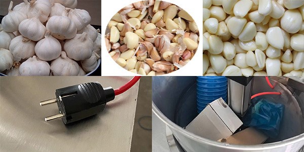 garlic peeling machine garlic peeling machine