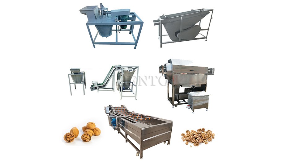 Walnut Shelling Machine Walnut Shelling Machine