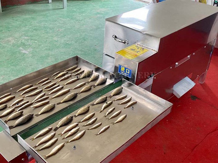 Fish Gutting Machine Fish Gutting Machine