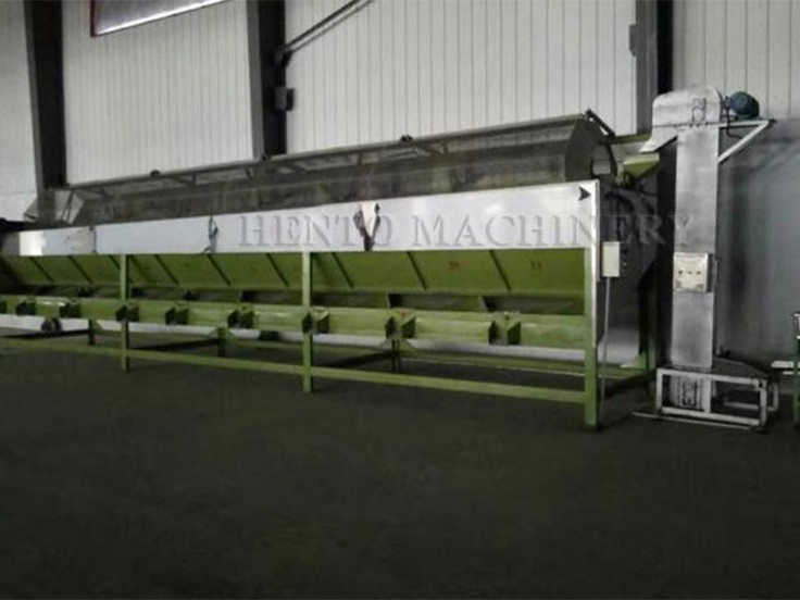 Raw Cashew Nut Grader Machine Raw Cashew Nut Grader Machine