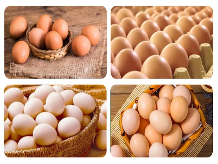 Cleaning Machine For Egg Cleaning Machine For Egg