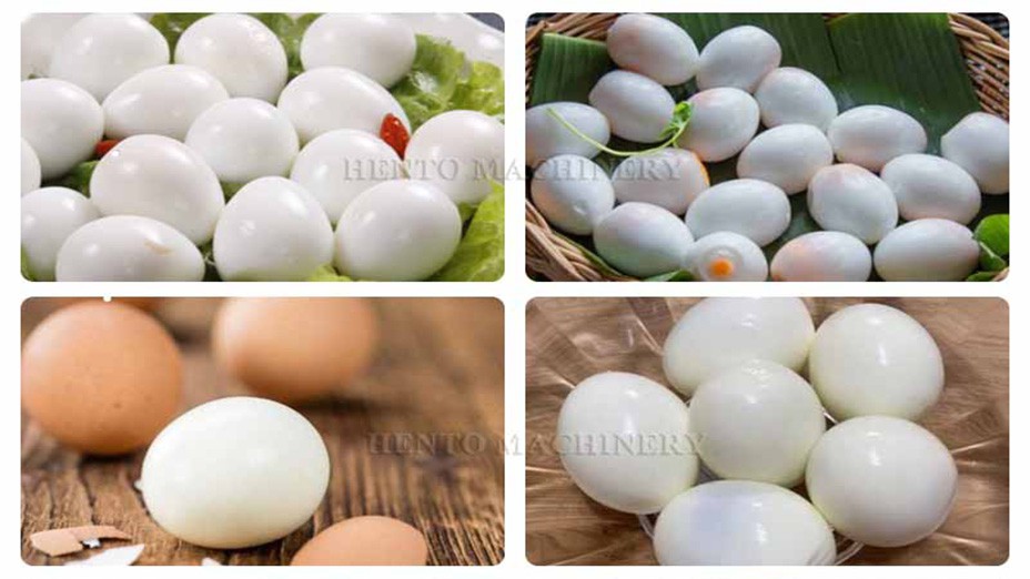 egg boiling machine