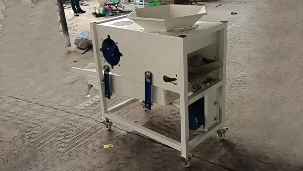 Garlic clove classifier machine