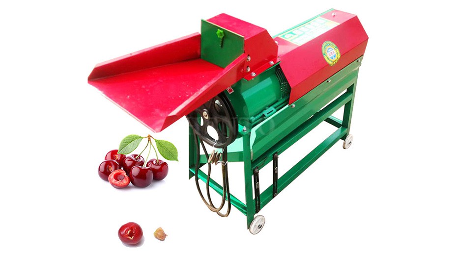 apricot kernel separator apricot kernel separator