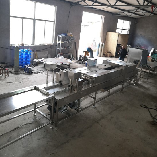 10000 pcs egg duck cleaning drying machine 10000 pcs egg duck cleaning drying machine