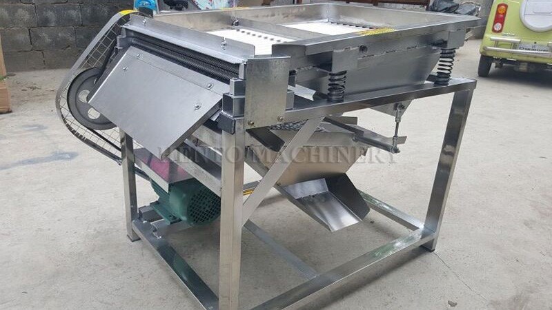 Broad bean shelling machine