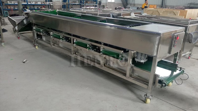 Blueberry Sorting Machine Blueberry Sorting Machine