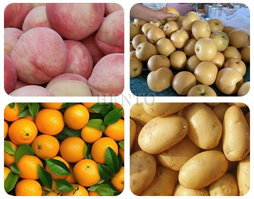 Lemons Sorting Machine Lemons Sorting Machine