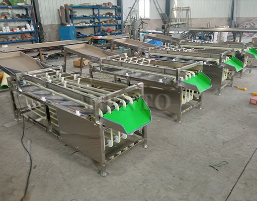 Vegetable Sorting Machine Vegetable Sorting Machine