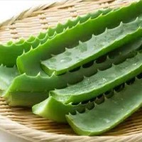 Aloe Vera Peeling Machine