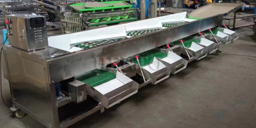 fruit sort machinery fruit sort machinery