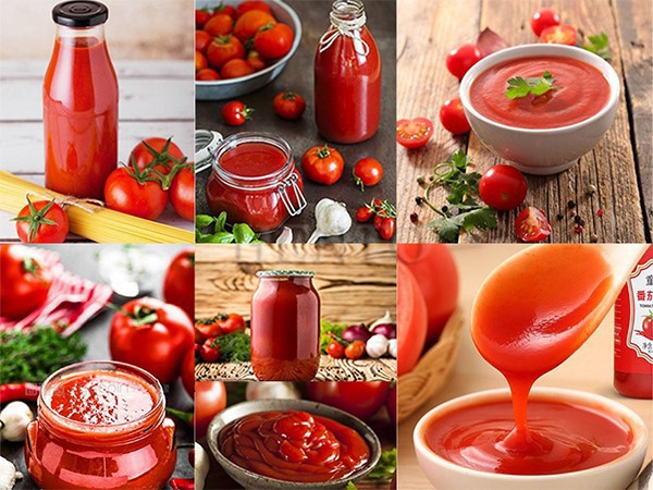 Tomato Paste Machine