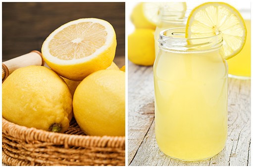 Lemon Juice Press Squeezer Lemon Juice Press Squeezer