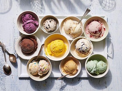 fruit ice cream blender fruit ice cream blender