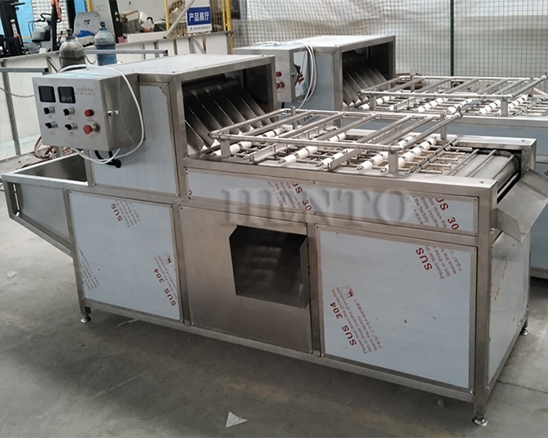 egg processing equipment