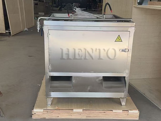 Machinery Cleaning Intestines